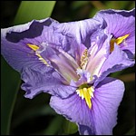 DSCN0065.JPG
